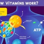 Illustration montrant comment les vitamines rechargent nos batteries cellulaires